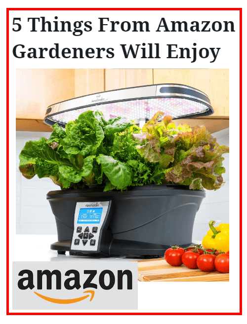 5 Things From Amazon Gardeners Will Enjoy