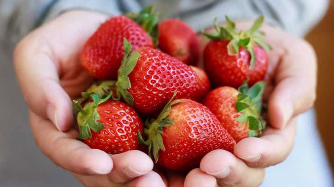 Strawberries 101: Nutrition Facts and Health Benefits