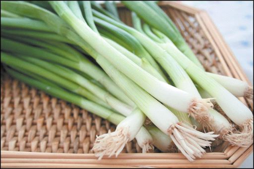 How To Regrow Green Onions | Veggie Gardener