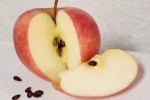 grow apples from seed