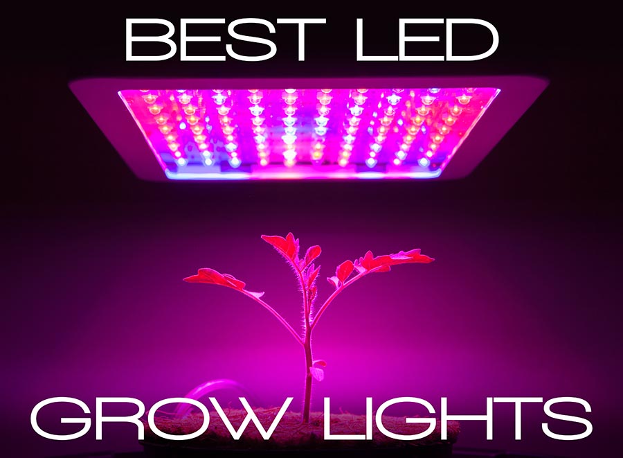 Best LED Grow Light Under $100 for 2022