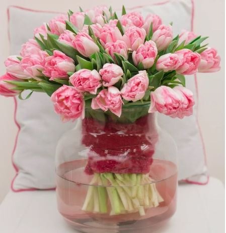 Pink Foxtrot tulip bulbs