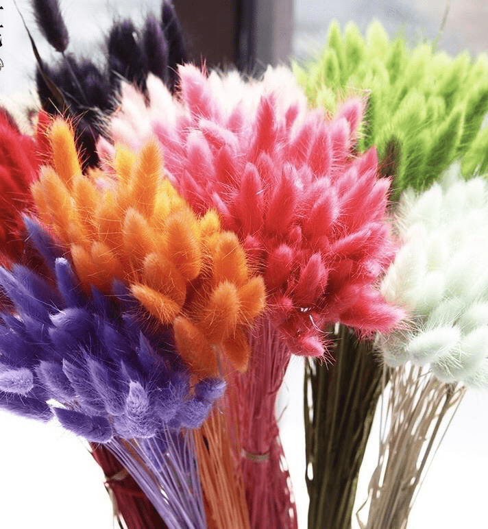 How To Dye Bunny Tails Grass